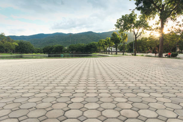 Best Driveway Pavers Near Me  in Charlottesville, VA